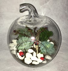 Kk terrarium elma 3 kakts  Ankara merutiyet ieki maazas 