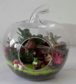 Elma cam orta boy terrarium teraryum  Ankara cebeci cicek , cicekci 