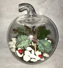 Kk terrarium elma 3 kakts  Ankara merutiyet ieki maazas 