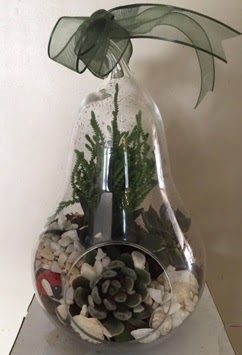 Orta boy armut terrarium 3 kakts  Ankara dikimevi iek siparii sitesi 