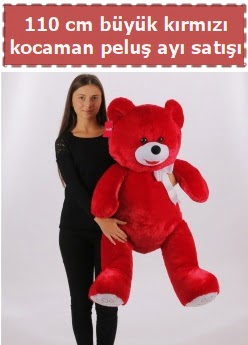 110 cm byk krmz kocaman pelu ay  Ankara cebeci cicek , cicekci 